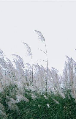 [truyện ngắn] Thành và Dương