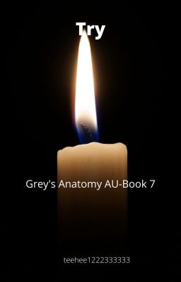 Try-Grey's Anatomy Book 7