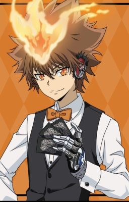 Tsuna Enigma