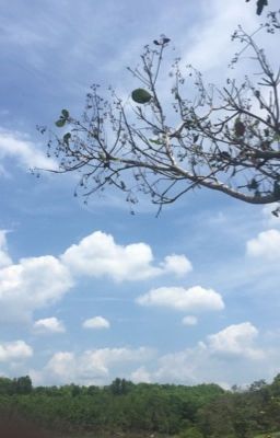 Tự Đánh Mất Chính Mình