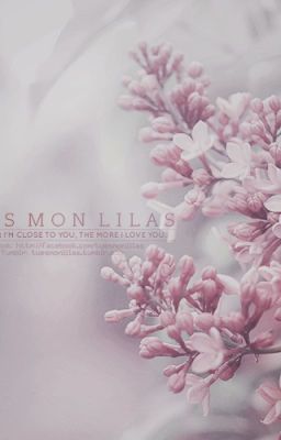 Tu Es Mon Lilas