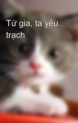 Tứ gia, ta yêu trạch