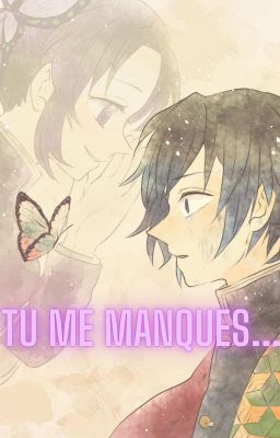 Tu me manques.... (Giyushino 🦋🌊✨)