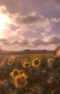 [Tự Viết _BH] Còn Ghét Là Còn Thương 