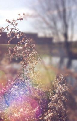 [Tự Viết] Đoản Đam Mỹ