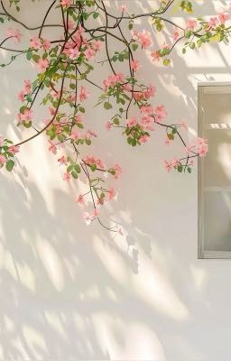 Tựa Như Định Mệnh (woo seulgi x yoo je yi)