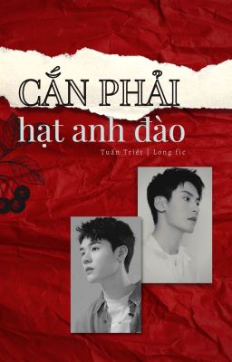 [Tuấn Triết | Hoàn] Cắn phải hạt anh đào