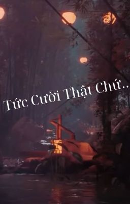 Tức Cười Thật Chứ...