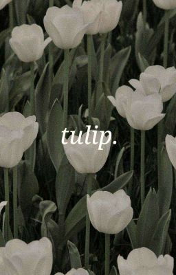 tulip.