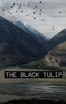 Tulipe Noire [Nouvelle]