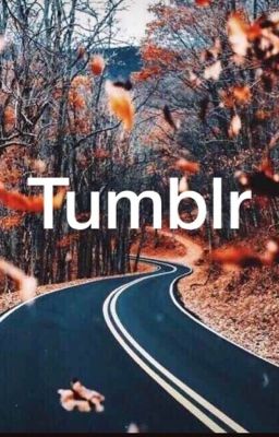 Tumblr❤️