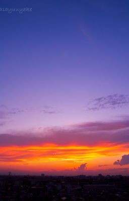 TUỔI 22 CỦA TÔI