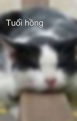 Tuổi hồng