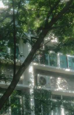 tuyển tập oneshot của nldmdgv