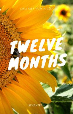 Twelve Months