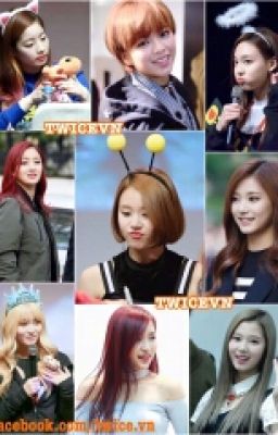 [Twice] Những Mẫu Đối Thoại Vui Của Twice Couple