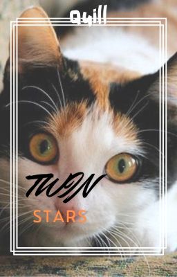 Twin Stars - A Warrior Cats Fan Fic || SPIN OFF