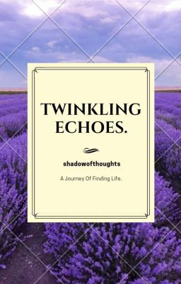 Twinkling Echoes