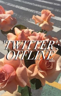 'Twitter': Offline ✧ viktuuri | specials