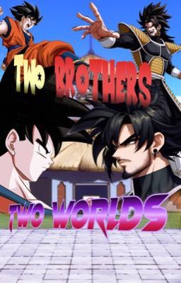 Two Brothers Two Worlds