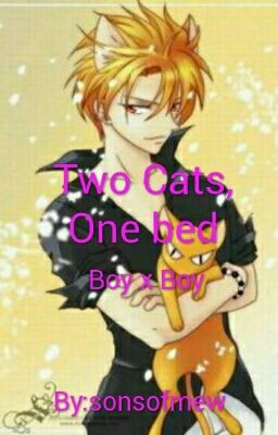 Two Cats, One Bed ((Male Reader X Kyo Sohma))