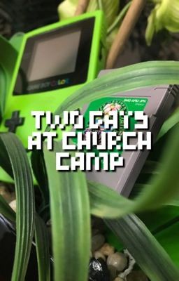 Two Gays At Church Camp (NOT STARTED)