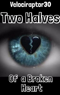 Two Halves Of a Broken Heart (Jaybull X Ryguyrocky)