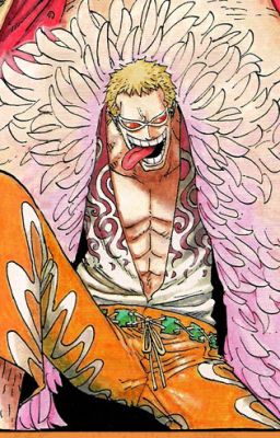 Two Sides of the Same Coin (Donquixote Doflamingo X Reader)