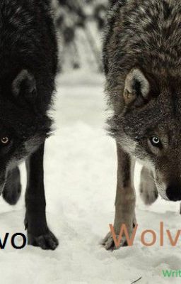 Two Wolves