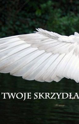 Twoje skrzydła