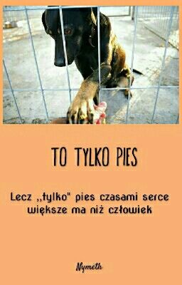 Tylko pies