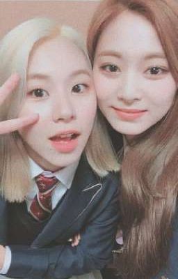 [TZUCHAENG] Chuyện về chú cún và cô hổ IQ thấp.