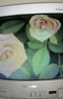 uchinaga trong lòng bạn học yu.