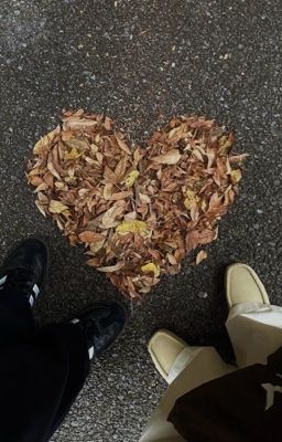 ujuz | Transit Love