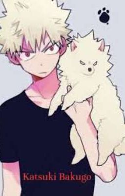 💥Un Amor De Explosión 💥 Bakugo y tú💥