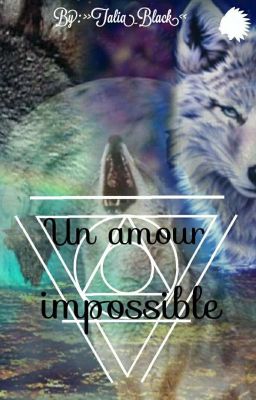 Un amour impossible