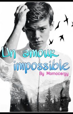 Un amour impossible (T.B.S) 