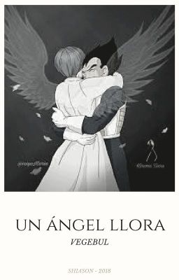 Un Ángel Llora. VEGEBUL. |O.S|