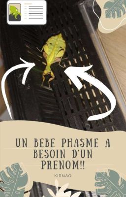 UN BÉBÉ PHASME A BESOIN D'UN PRÉNOM !