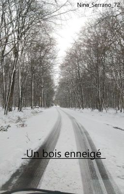 Un bois enneigé, un soir d'hiver