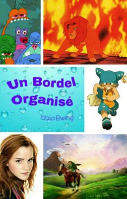 Un Bordel Organisé  - Rant Book