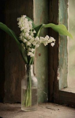 Un brin de muguet ✧ Ff Les Carnets l'Apothicaire