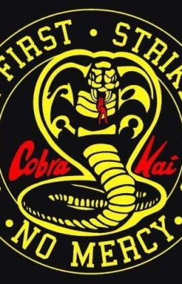 un cobra kai en la seccion q