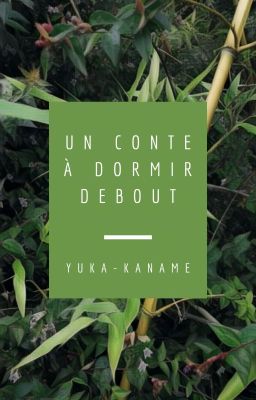 Un conte à dormir debout