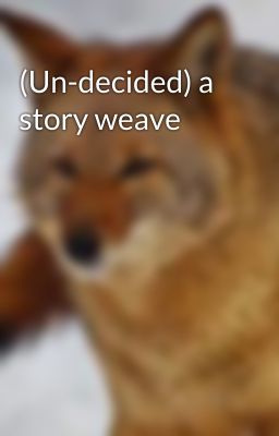 (Un-decided) a story weave