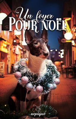 Un foyer pour Noël