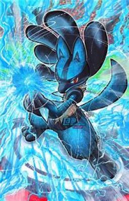 UN LUCARIO  VETERANO