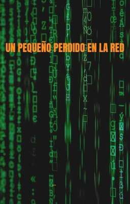 UN PEQUEÑO PERDIDO EN LA RED 