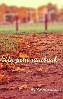 Un petit rantbook 