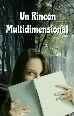 Un Rincón Multidimensional.